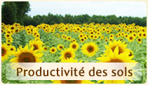 Productivité des sols