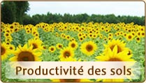 Productivité des sols