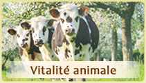 Vitalité animale