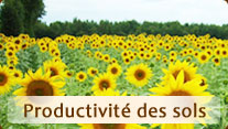 Productivité des sols